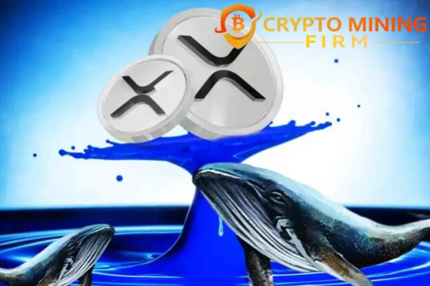 2025-ripple-whales-are-quietly-betting-big-on-this-cloud-mining-opportunity—here’s-why